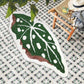 Begonia maculata  leaf shape bath mat colorful cute bathroom decor