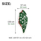 Begonia maculata  leaf shape bath mat colorful cute bathroom decor