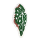 Begonia maculata  leaf shape bath mat colorful cute bathroom decor